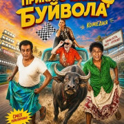����������� ������� / Buffalo Travels
