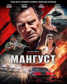 Мангуст / The Mongoose
