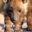 ����� ����� ������������ / Brown Hyenas of the Makgadikgadi ����� �����