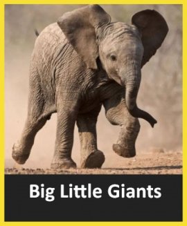 ������� ��������� ������� / Big Little Giants