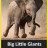 ������� ��������� ������� / Big Little Giants ����� �����