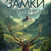 ����� ����� ������� / Wild Castles ��� �����
