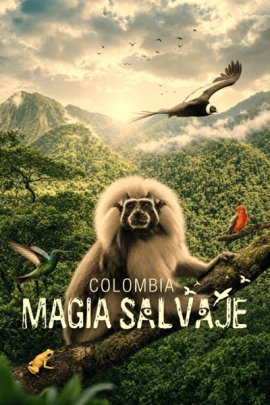 ���������� �������� / Colombia magia salvaje