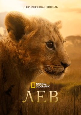 ��� / Lion �������� ������