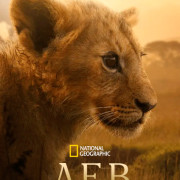 ��� / Lion ��� �����