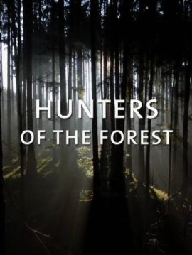 ������ �������� / Hunters of the Forest