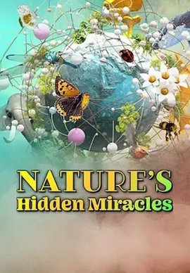 Скрытые чудеса природы / Nature's Hidden Miracles смотреть онлайн