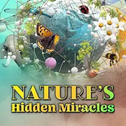 ������� ������ ������� / Nature's Hidden Miracles ��� �����
