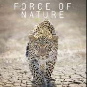 ���� ������� / Force of Nature ��� �����