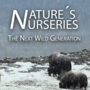 ����� ���� �������: ���������� ����� ��������� / Nature's Nurseries - The Next Wild Generation