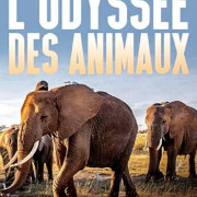 ������� �������� / L'odyssée des animaux ��� �����