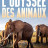 ������� �������� / L'odyssée des animaux