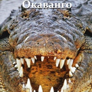 ��������� �������� / Crocodiles of the Okavango