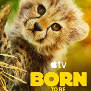 ����������� � ����� ������� / Born To Be Wild ��� �����