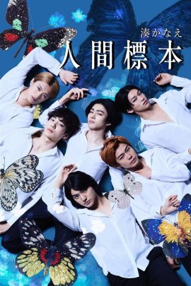 ������������ ������� /  Human Specimens �������� ������