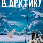 � ������� / Into the Arctic