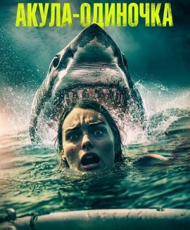 Акула-одиночка / Lone Star Shark