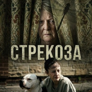 �������� / Dragonfly