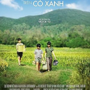 ������ ����� �� ������� ����� / Yellow Flowers on the Green Grass