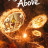 ����� ����� / Agent from Above