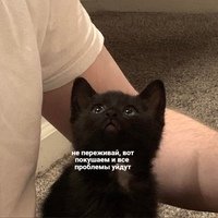 ������