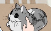    / Yoru wa Neko to Issho - 3 , 37 