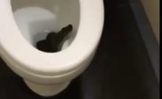 ����� �������� 8/