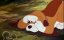    / The Fox and the Hound - 