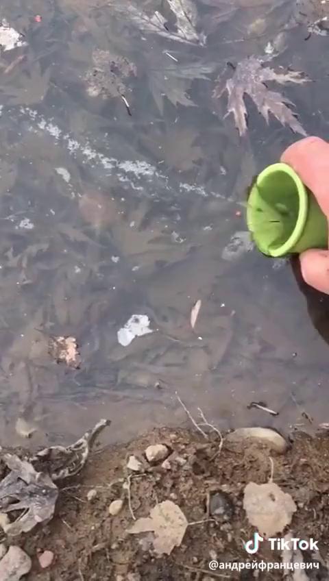 ������