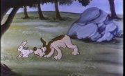������� ������� / Merrie Melodies & Looney Tunes - 1c �����