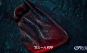 �������� ����������� ���� / Chaofan Jinhua - 1 �����, 10 �����