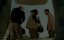 :  III / The Hangover Part III - 