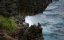 ������� ������� ��������� / Australia's Hidden Islands - 1 �����, 3 �����