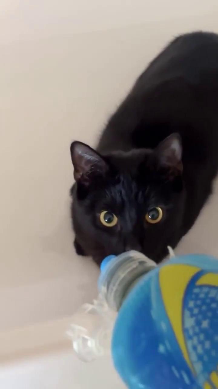 ������