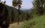   / Ulvesommer - 