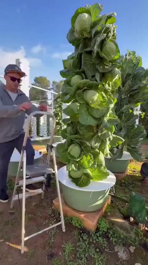 ������