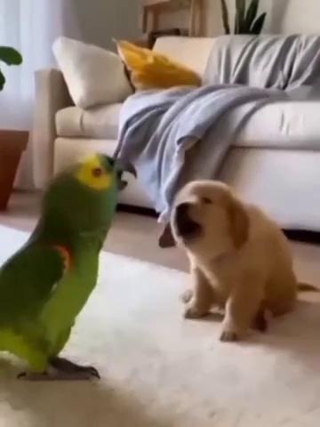 ������