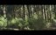 ,   / The App That Stole Christmas - 