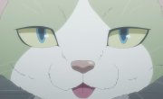     / Nyaight of the Living Cat - 1 , 9 