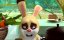 ����� � ������� ���� / Panda and Rooster - 1 �����, 24 �����