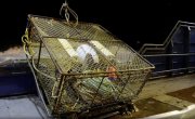 Discovery. ����������� ���� / Deadliest Catch - 21 �����, 15 �����