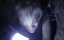 , ,  / Crawl or Die - 