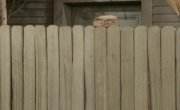   / Home improvement - 8 , 27 