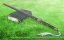 �������������� ���������: ������� ��������������� ������� S-����� / Rakudai Kenja no Gakuin Musou - 1 �����, 8 �����