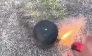 ������������ �������� ������ �� ������ ������ ��������