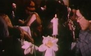 ������� ���������� (1977)