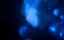     / Encounters at the End of the World - 
