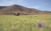 ��� ���� ����� / Des trains pas comme les autres - 6 �����, 3 ����� "�������� (Mongolie) (25 ������� 2016)"
