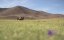 ��� ���� ����� / Des trains pas comme les autres - 6 �����, 3 ����� "�������� (Mongolie) (25 ������� 2016)"