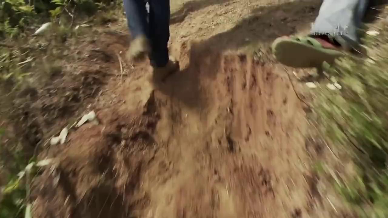 ������
